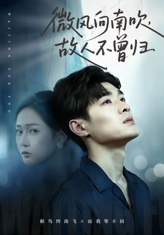微风向南吹故人不曾归短剧在线观看