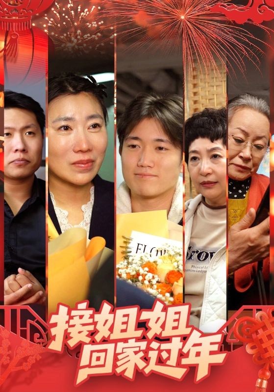 接姐姐回家过年